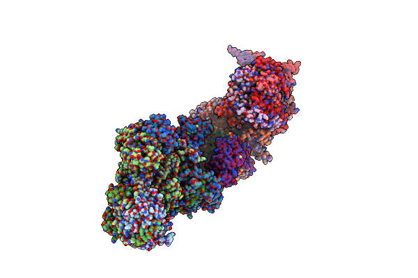 7W4G image