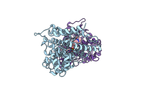 7W4X image