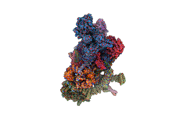 7W5B image