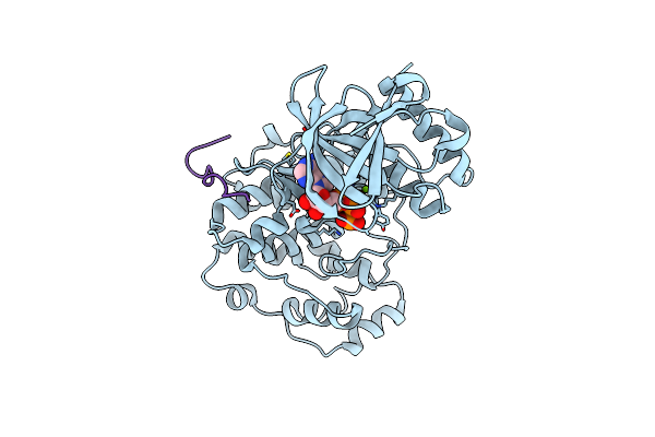 7W5C image