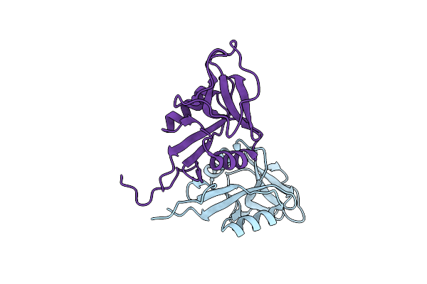 7W5D image