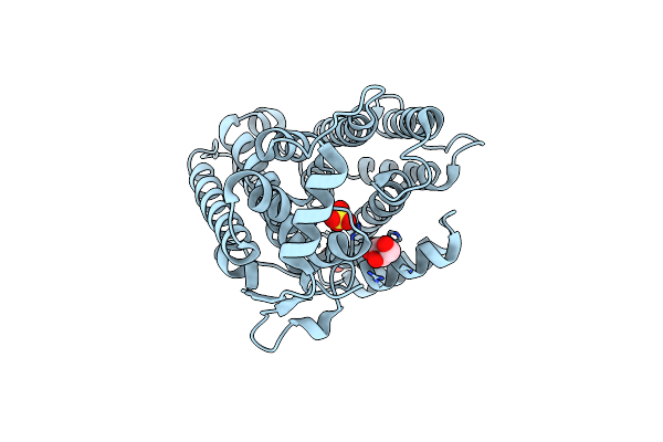 7W5G image