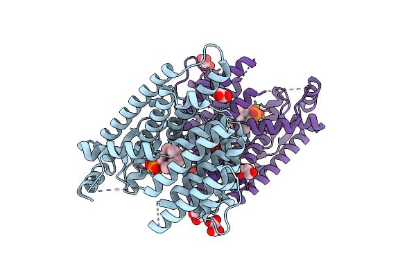 7W5I image