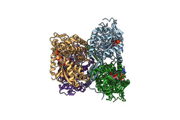 7W5K image