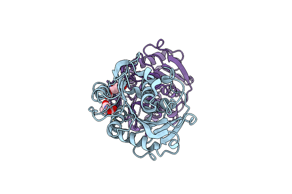 7W6C image