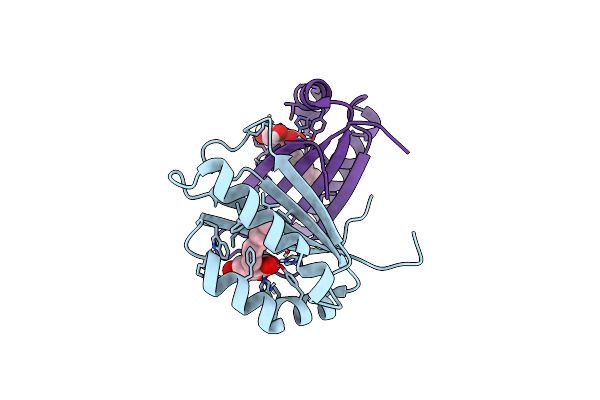 7W6E image