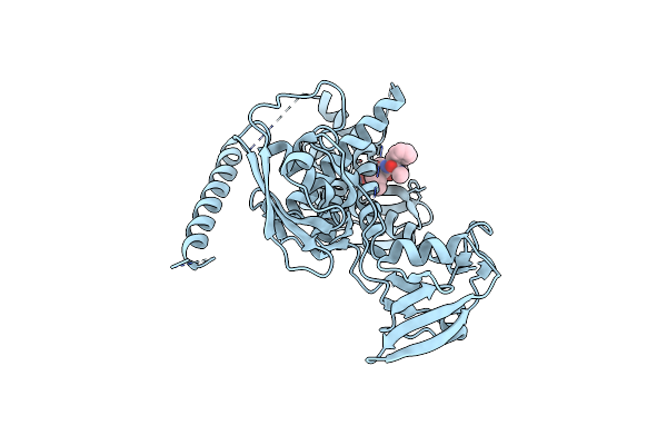 7W6Z image