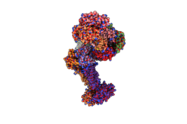 7W7B image