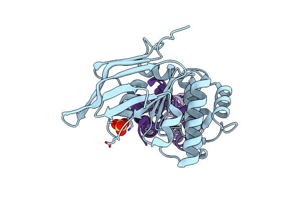 7W7C image