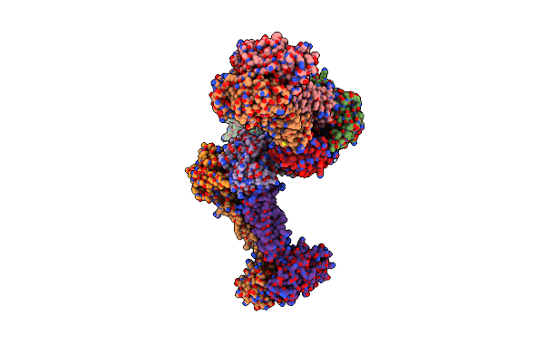 7W7D image