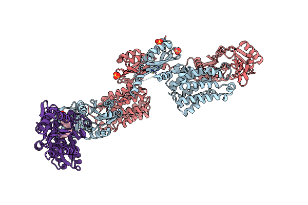 7W7H image