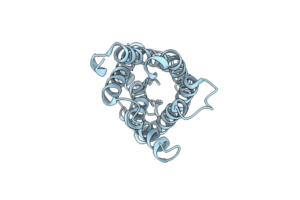 7W7S image