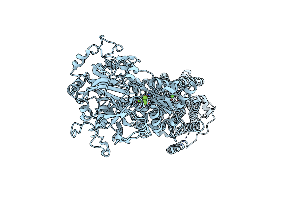 7W7T image