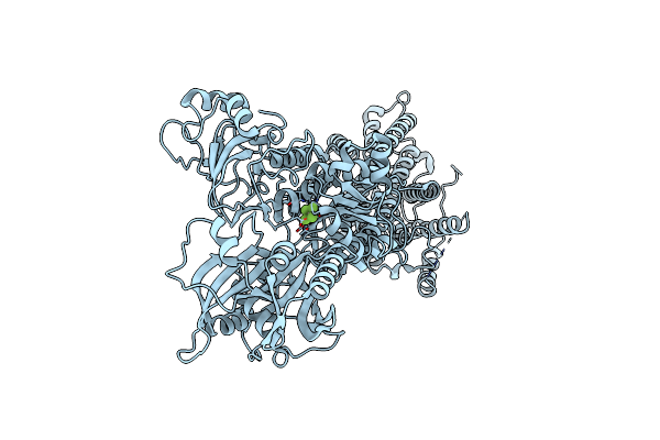 7W7W image