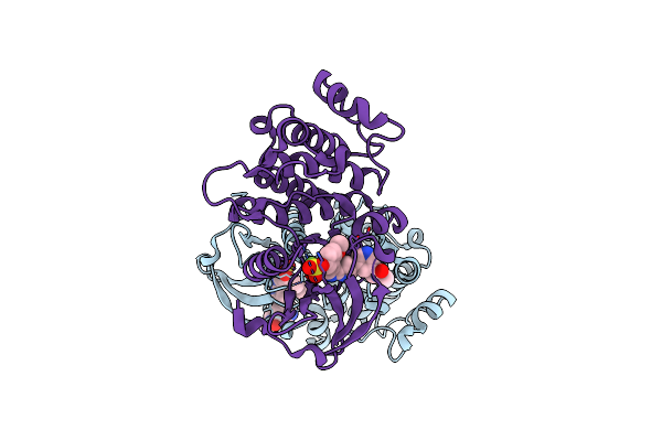7W7X image