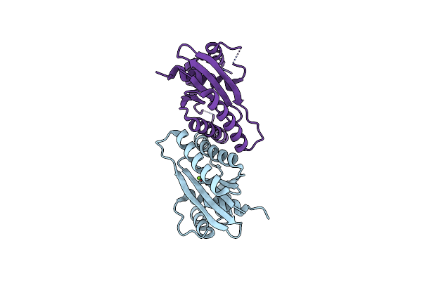 7W8D image
