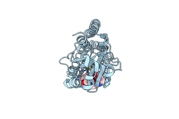 7W8F image
