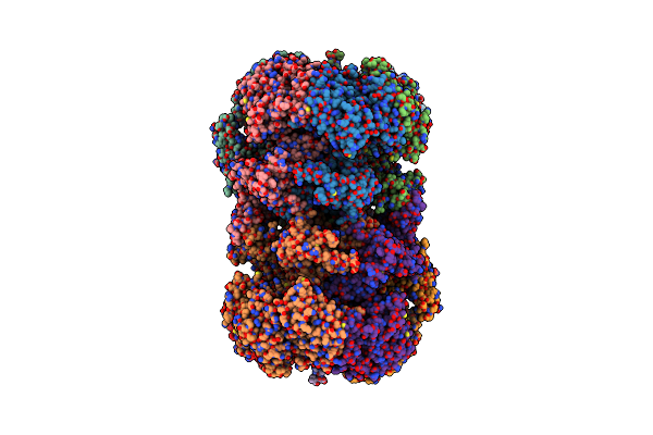 7W8G image