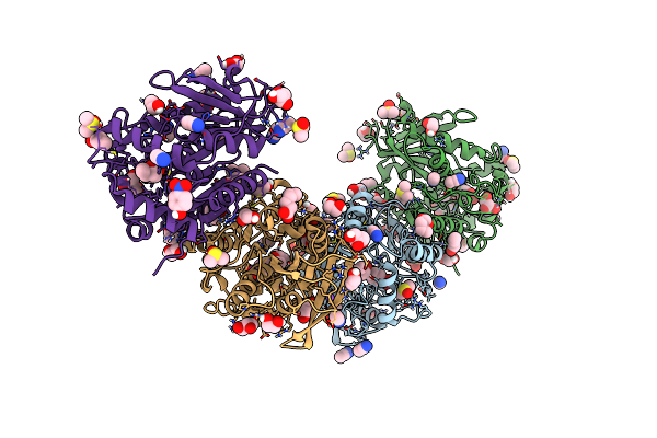 7W8N image