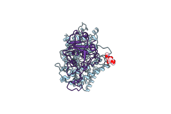 7W8S image