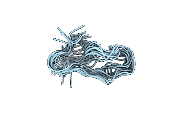 7W8T image