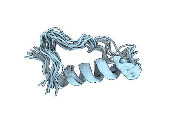 7W8Z image