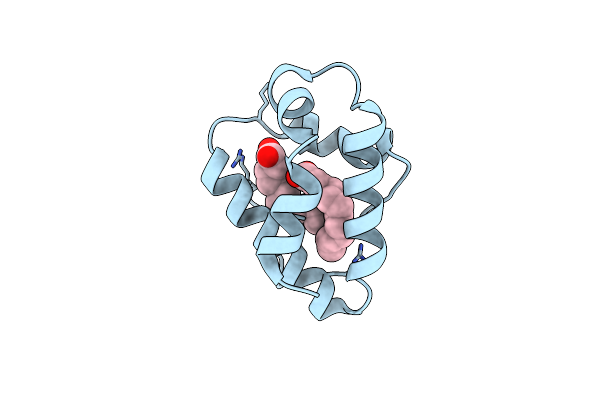 7W9A image