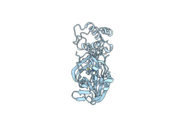 7W9G image