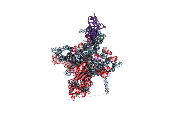 7W9K image