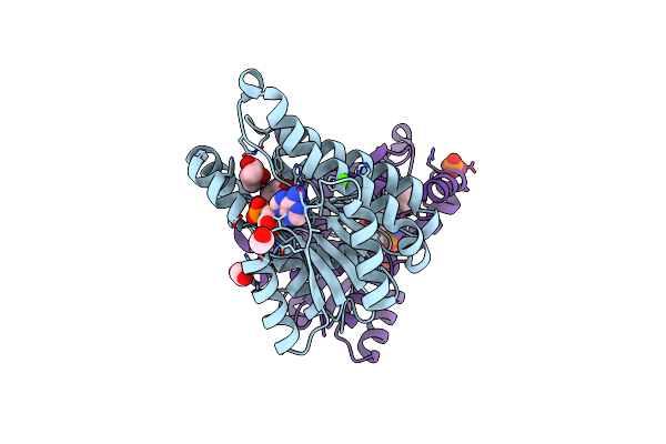 7WBC image