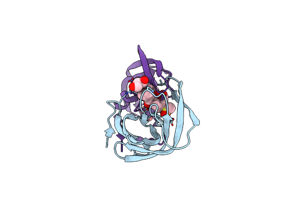 7WBS image