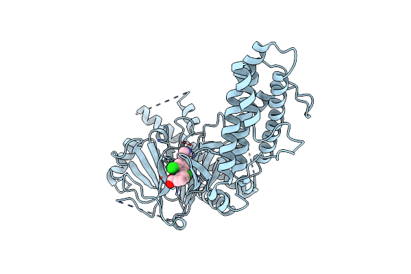 7WCV image