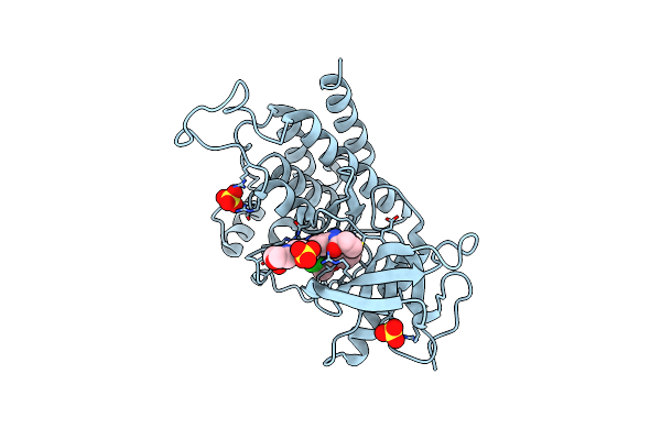 7WCX image