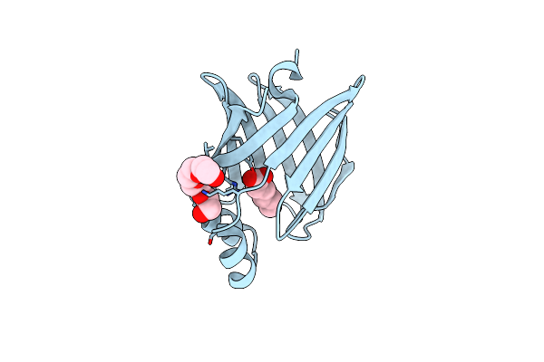 7WD6 image