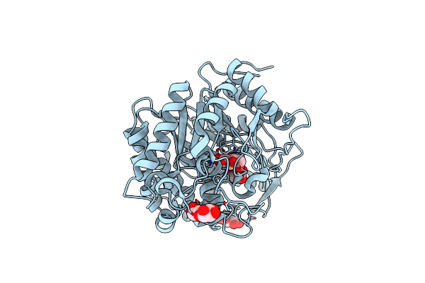 7WDN image
