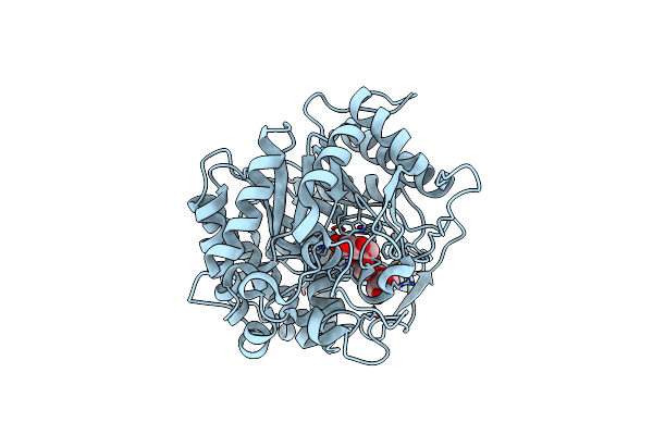 7WDP image