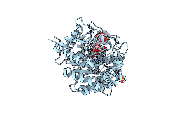 7WDR image