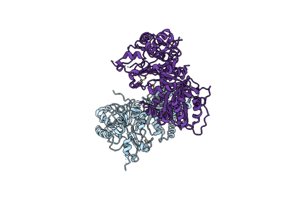 7WFX image