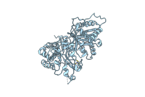 7WG4 image
