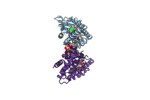 7WGL image
