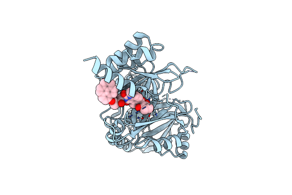 7WJ8 image