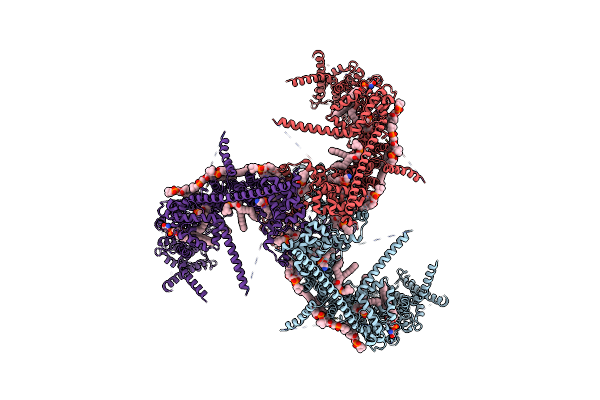 7WLT image