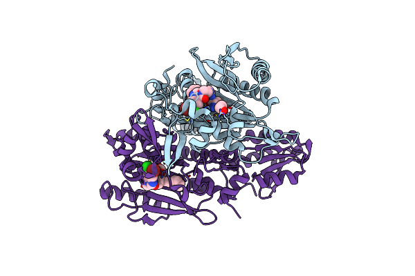 7WMI image