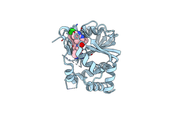 7WMT image