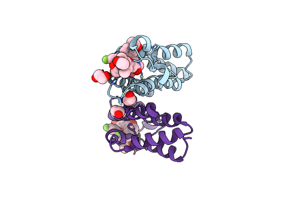 7WNI image