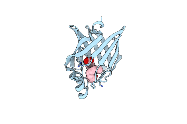 7WOM image