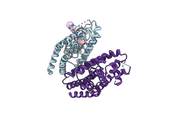 7WOX image