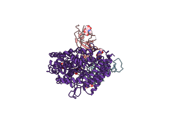 7WPC image