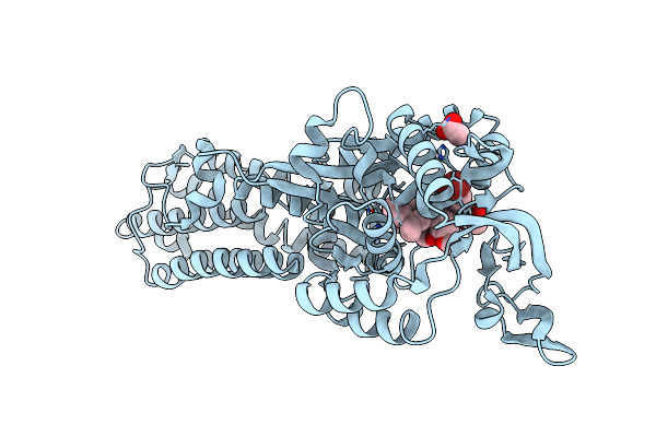 7WPI image