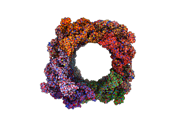 7WPS image